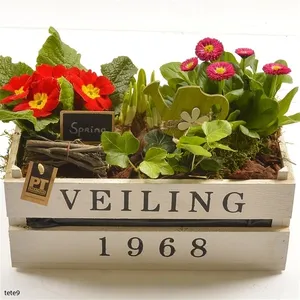 Композиция растений  1753 (GL) 18464