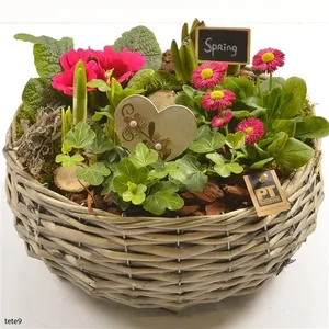 Композиция растений 1747 (GL) 18468