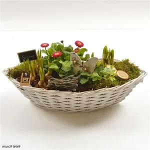 Композиция растений 1750 (GL) 18469