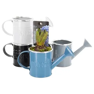 Луковичные композ. 0908 (GL) 18475