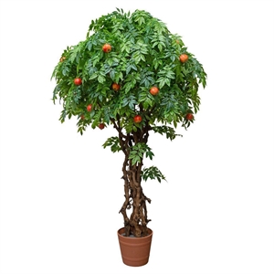 300/ОС/200 Дерево искусственное Гранат с плодами h300см