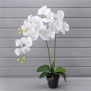 ЦИ60*2/33(з) Орхидея искусственная h60см в кашпо d11см, белая