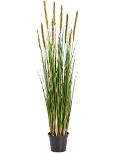 Лисохвост трава в горшке (искусственная) Nieuwkoop Europe