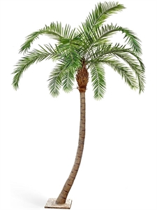 Гигантская изогнутая Финиковая пальма (искусственная) Treez Collection