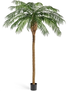 Финиковая пальма де Люкс (искусственная) Treez Collection