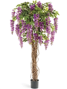 Вистерия лиана с цветами 180 см (искусственная) Treez Collection