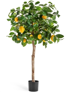 Лимонное дерево с плодами на штамбе (искусственное) Treez Collection