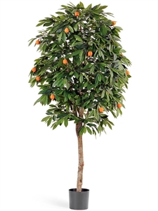 Мандарин Оранж (искусственный) Treez Collection