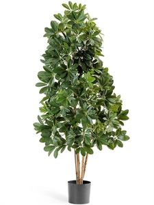 Шеффлера натуральная зеленая (искусственная) Treez Collection