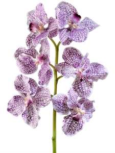 Орхидея Ванда бело-фиолетовая (искусственная) Treez Collection