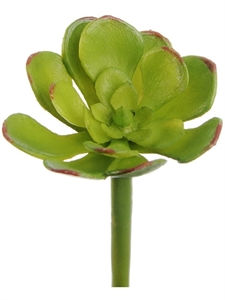 Мини-суккулент Эониум Декорум зеленый (искусственный) Treez Collection