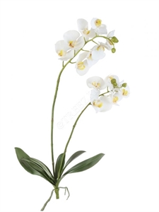 Орхидея Фаленопсис белая куст с корнями  (искусственная) Treez Collection