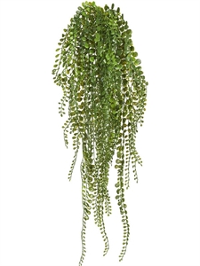 Пилея Глаукофилла зеленая ампельная  (искусственная) Treez Collection