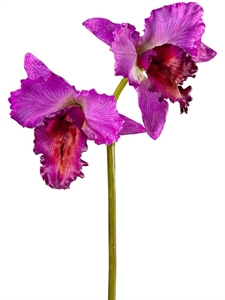 Орхидея Каттлея (искусственная) крупная тёмно-сиреневая (серия MDP) Treez Collection