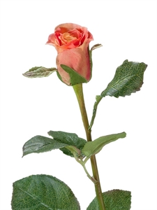 Роза Анабель персик-роз (искусственная) Treez Collection