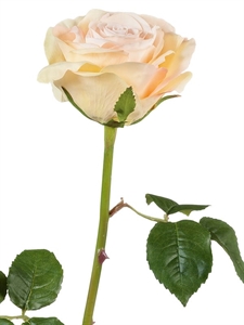 Роза Верди нежно-персиковая с нежно-розовым (искусственная) Treez Collection