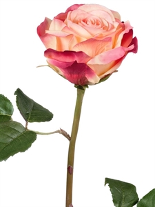 Роза Верди нежно-персиковая с малиновым (искусственная) Treez Collection