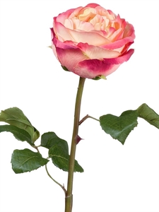 Роза Джема нежно-персиковая с малиновым бутон (искусственная) Treez Collection