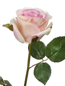 Роза Джулии нежно-розовая с кремовым (искусственная) Treez Collection