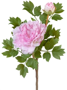 Пион нежно-розовый ветвь малая (искусственный) Treez Collection