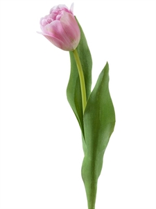 Тюльпан Даймонд нежно-розовый (искусственный) Treez Collection