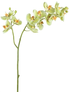 Орхидея Фаленопсис св.лайм ветвь двойная (искусственная) Treez Collection