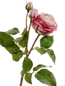 Роза Дэвид Остин Мидл ветвь пудрово-розово-малиновая (искусственная) Treez Collection