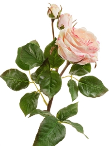 Роза Дэвид Остин Мидл ветвь кремово-розовая со св.лаймом (искусственная) Treez Collection