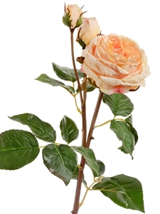 Роза Дэвид Остин Мидл ветвь св.персиковая (искусственная) Treez Collection