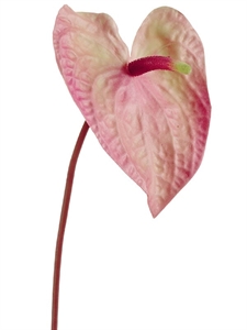 Антуриум Макс нежно-розовый с кремово-зелёным (искусственный) Treez Collection