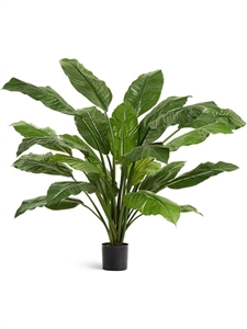 Спацифиллум Гигант куст зеленый (без цветов) искусственный Treez Collection