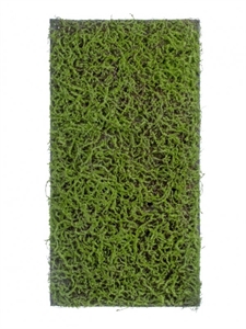 Мох Сфагнум Fuscum зелёный (полотно на подложке среднее) искусственный Treez Collection