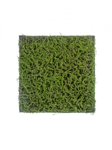 Мох Сфагнум Fuscum зелёный (полотно на подложке) искусственный Treez Collection