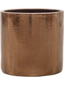 {{photo.Alt || photo.Description || 'Кашпо Cylinder pot (Nieuwkoop Europe)'}}