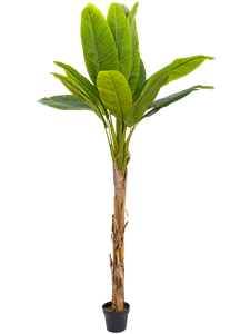 Банановое дерево (15 листьев) искусственное Nieuwkoop Europe