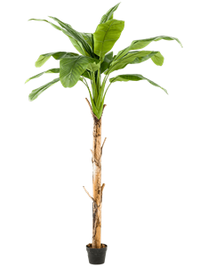 Банановое дерево (15 листьев) искусственное Nieuwkoop Europe