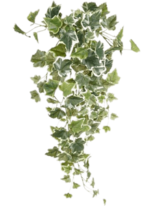 Плющ бело-зелёный ампельный (искусственный) Nieuwkoop Europe