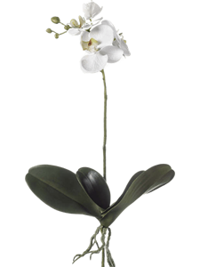 Листья Орхидеи Фаленопсис (искусственные) Nieuwkoop Europe