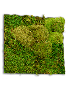 Стабилизированный мох Sample 50%/50% platt/ball moss Nieuwkoop Europe
