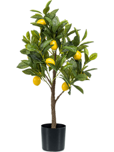 Лимонное дерево (искусственное) Nieuwkoop Europe