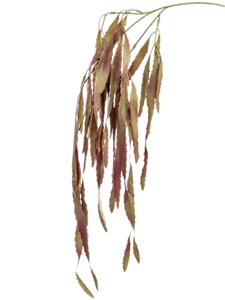 Ветка рипсалиса бордовая (искусственная) Nieuwkoop Europe