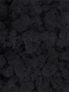Стабилизированный мох Reindeer moss black (примерно. 0,45 m2)