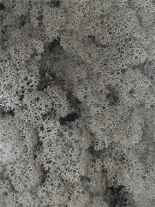 Стабилизированный мох Reindeer moss grey (примерно. 0,45 m2)