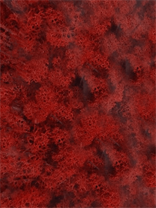Стабилизированный мох Reindeer moss red (примерно. 0,45 m2)