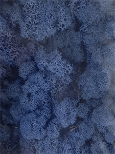 Стабилизированный мох Reindeer moss royal blue (примерно. 0,45 m2)