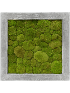 Картина из мха polystone raw grey 50/50/5 100% ball moss