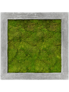 Картина из мха polystone raw grey 50/50/5 100% flat moss