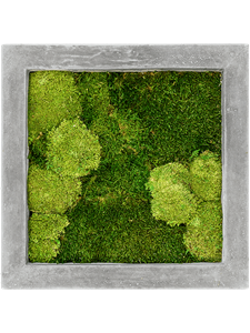 Картина из мха polystone raw grey 50/50/5 30% ball- and 70% flat moss