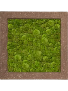 Картина из мха polystone rock 70/70/5 100% ball moss 19361