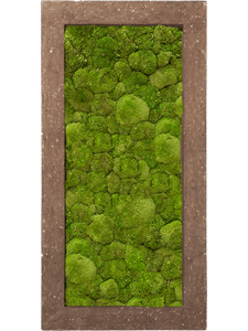 Картина из мха polystone rock 100/50/5 100% ball moss